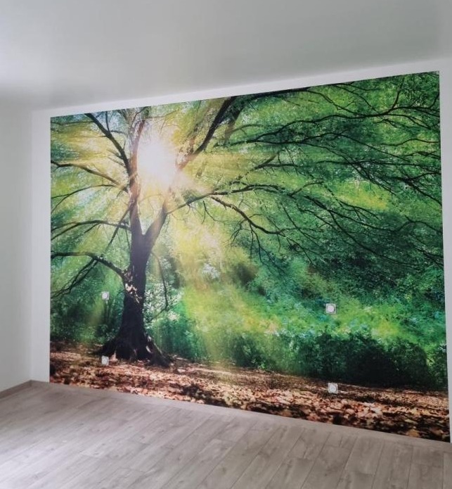 Peinture intérieure Vesoul